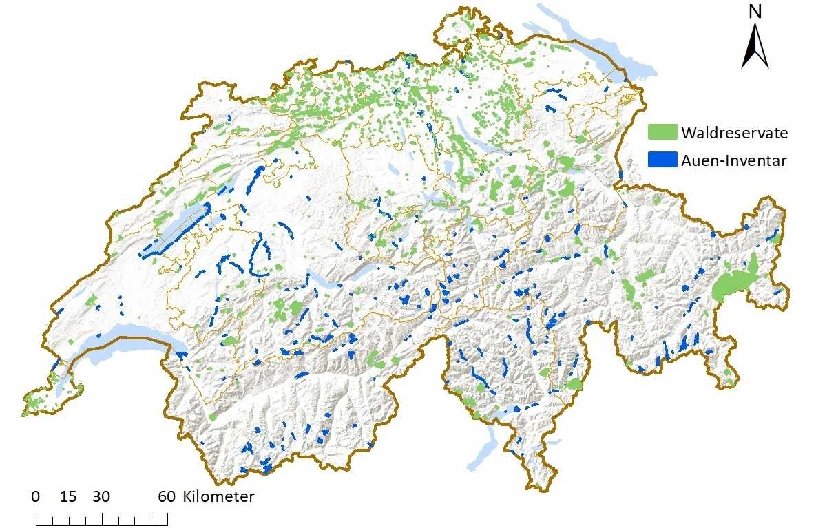 Übersichtskarte der Schweiz mit allen bestehenden Waldreservaten und Schutzgebieten, welche im nationalen Auen-Inventar erfasst sind. 