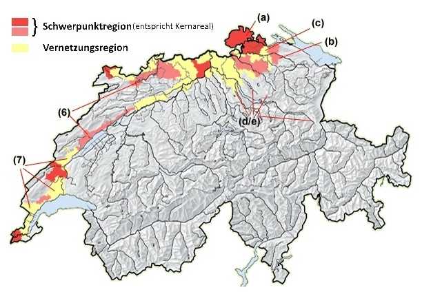 Ein Übersichtskarte zur festgelegten Massnahmenregionen für die Elsbeere in der Schweiz. Mit Schwerpunktregionen (Nr. 6), welche den Kernarealen entsprechen und Vernetzungsregionen (Nr.7). Sowie Beispielen für Prioritäten von Förderungsmassnahmen (a-e)
